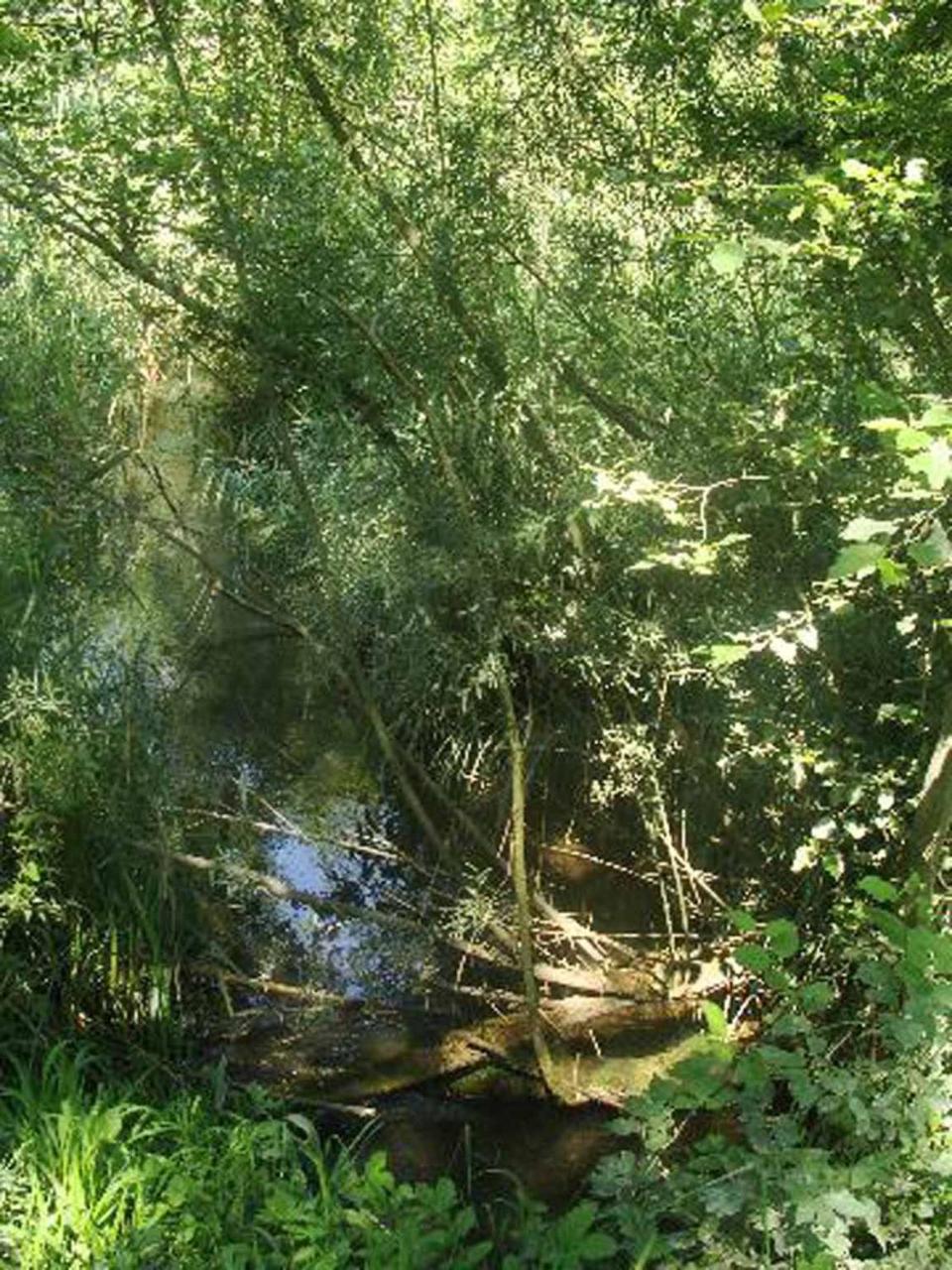 Appartementhaus Loewenzahn Bad Fussing Bagian luar foto